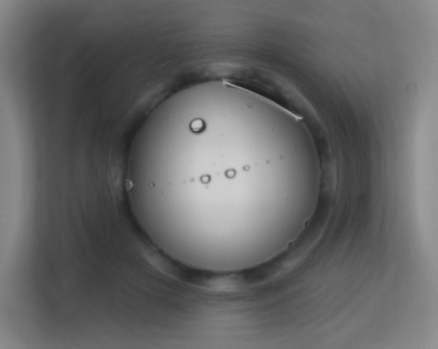 X0000113180505200909111057