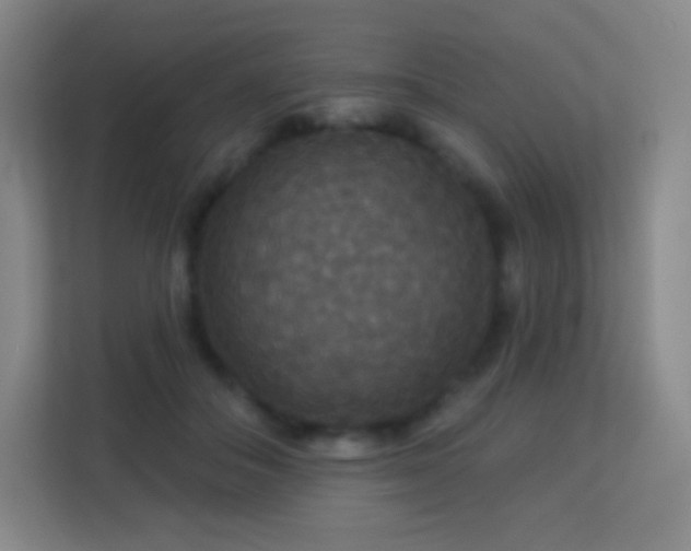 X0000113180506200909111057
