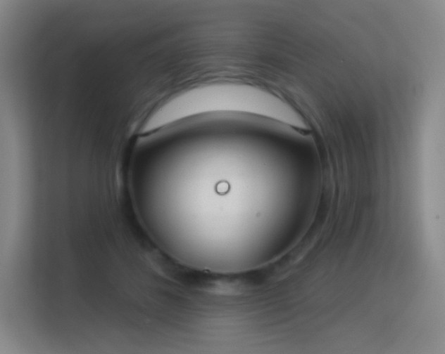X0000113180508200909111057