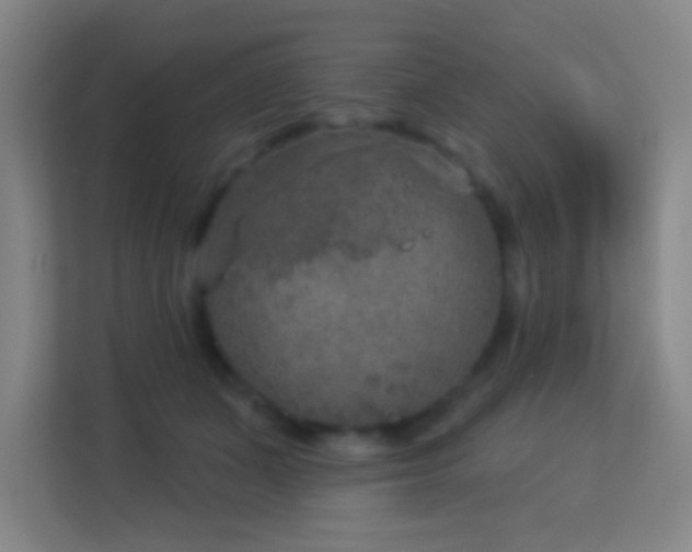 X0000113180511200909111057