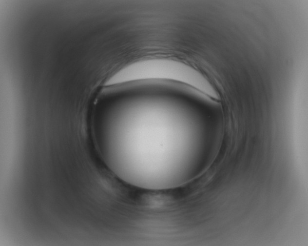 X0000113180512200909111057