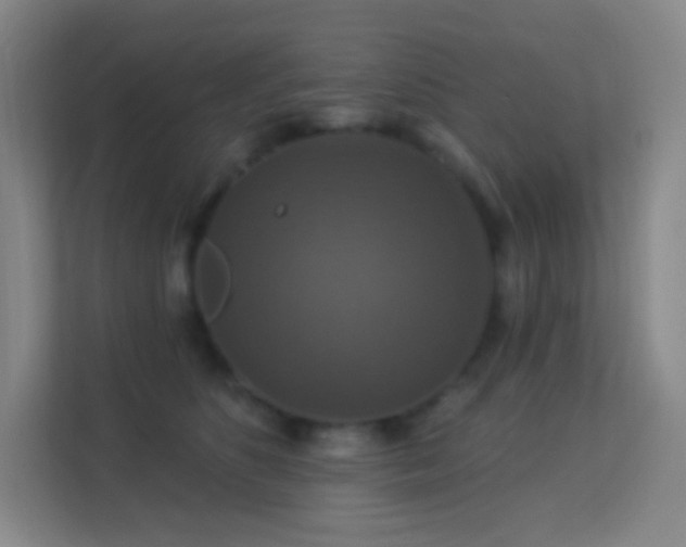 X0000113180516200909111057