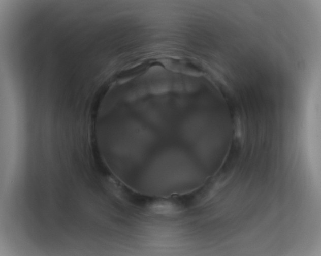X0000113180519200909111057