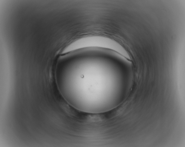 X0000113180520200909111057