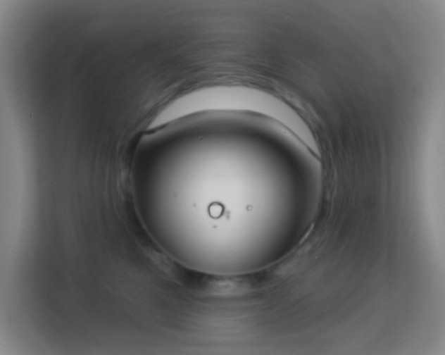 X0000113180521200909111057