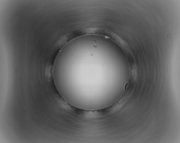 X0000113180525200909111057
