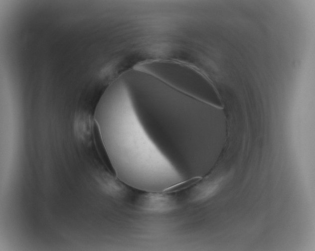 X0000113180528200909111057