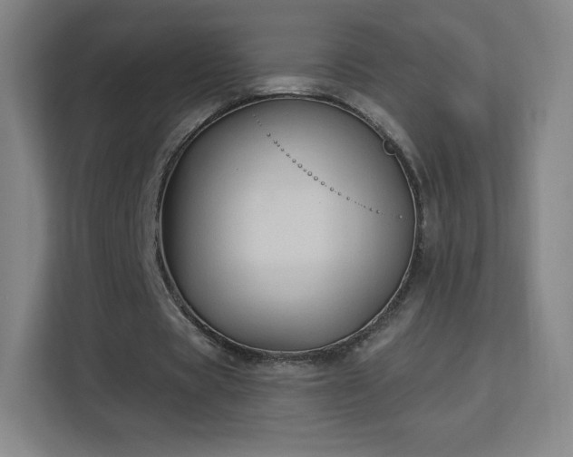 X0000113180529200909111056