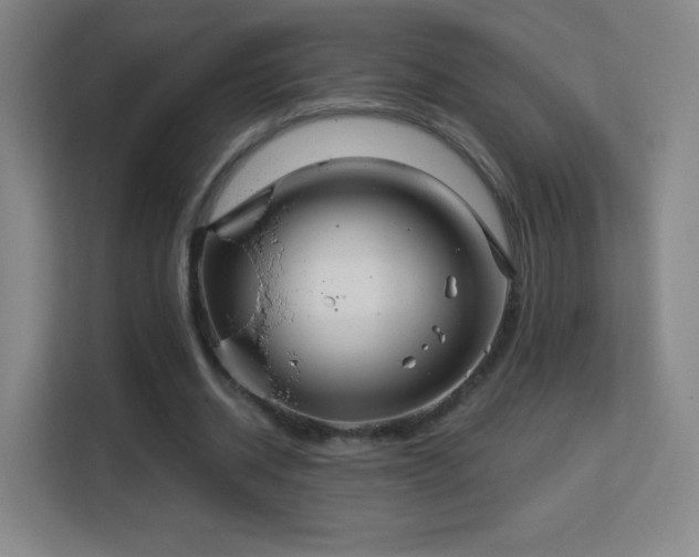 X0000113180534200909111056
