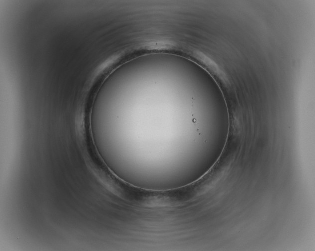 X0000113180535200909111056