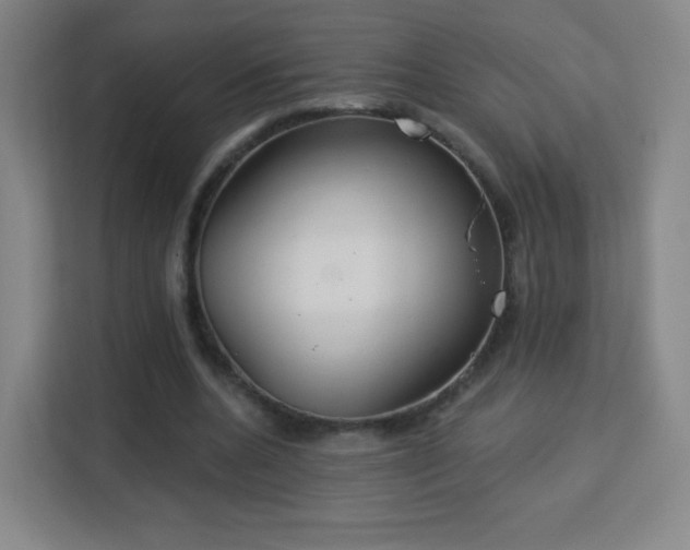 X0000113180536200909111056