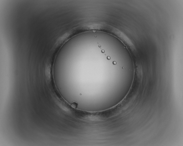 X0000113180537200909111056