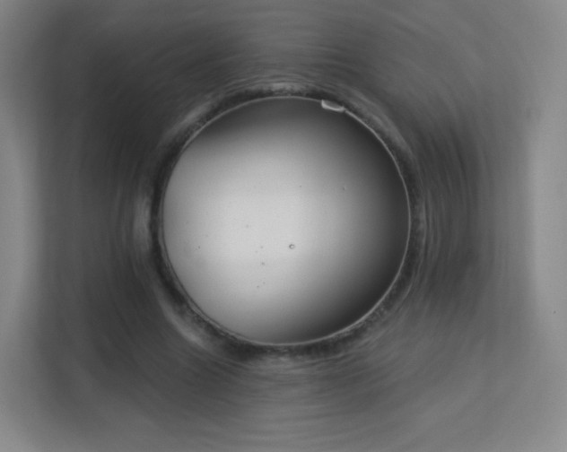 X0000113180538200909111056
