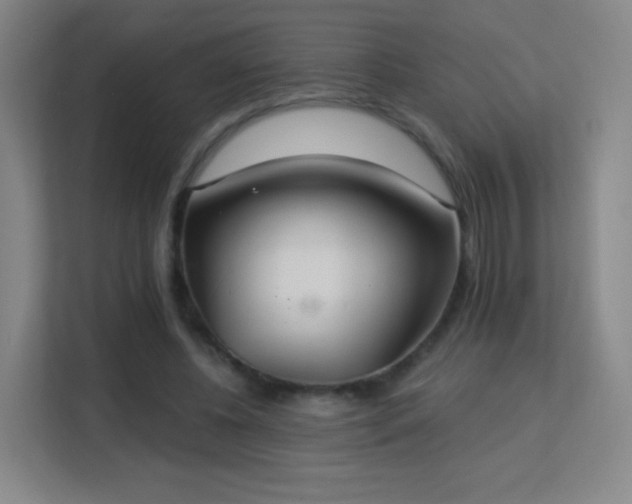 X0000113180540200909111056