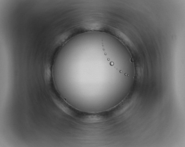 X0000113180541200909111056