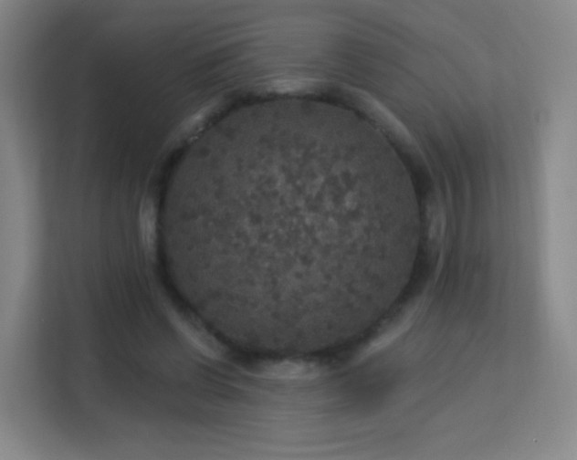 X0000113180542200909111056