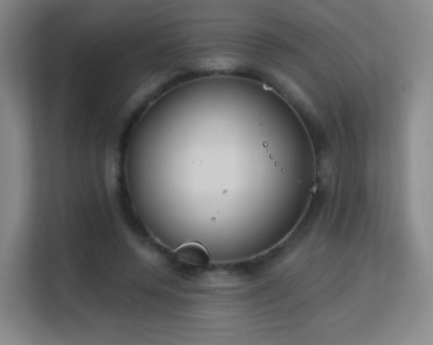 X0000113180544200909111056