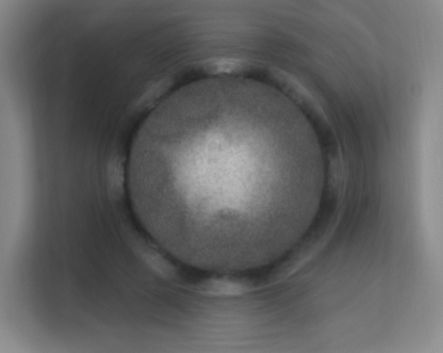 X0000113180545200909111056