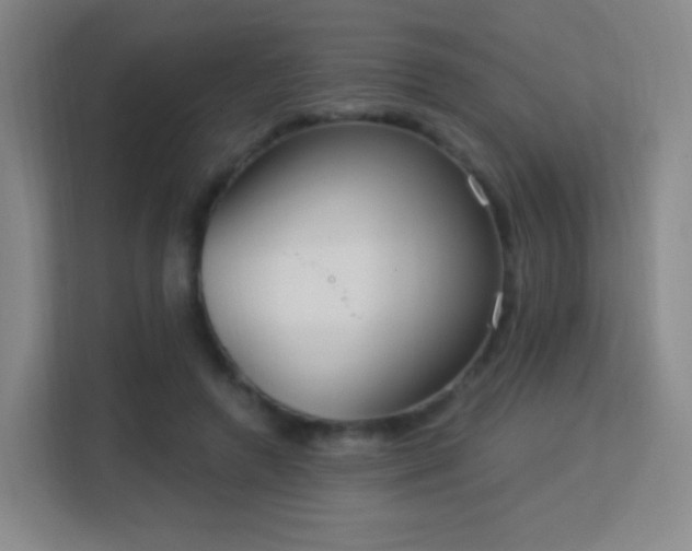 X0000113180546200909111056