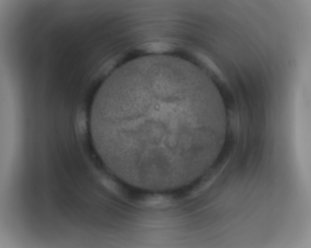 X0000113180549200909111056