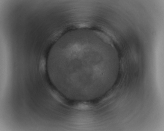 X0000113180550200909111056
