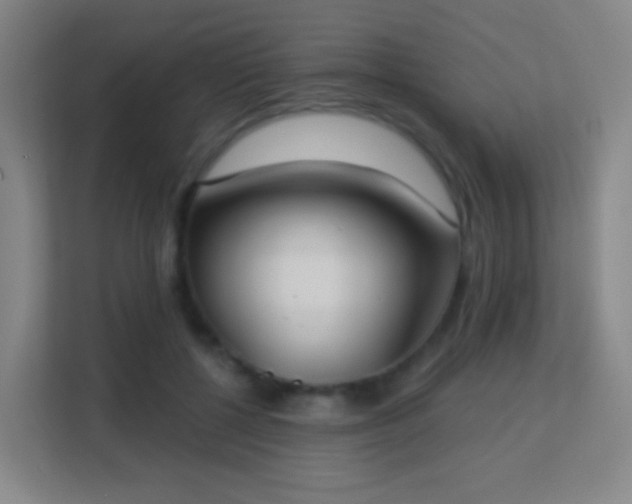 X0000113180552200909111056