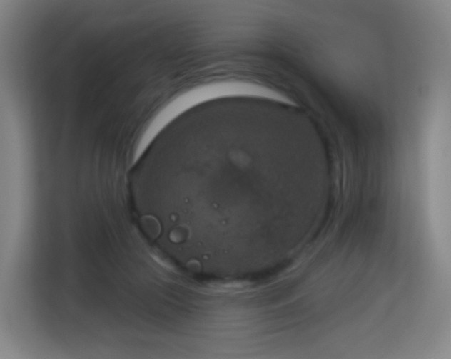 X0000113180553200909111056