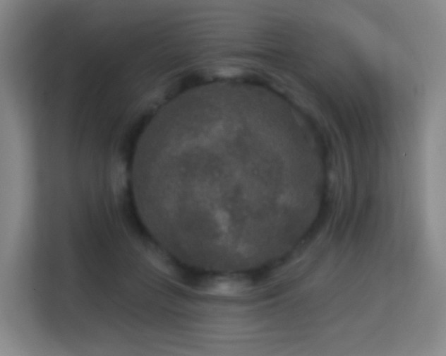 X0000113180555200909111056