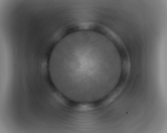 X0000113180557200909111056