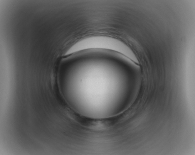 X0000113180558200909111056