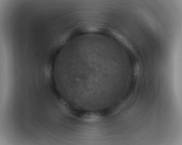 X0000113180559200909111057