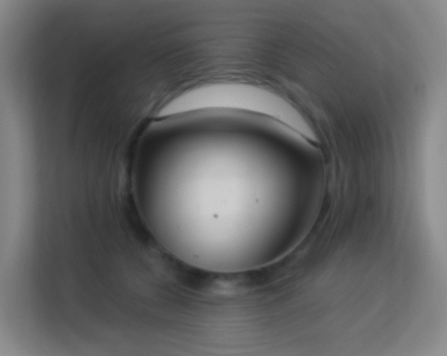X0000113180560200909111057