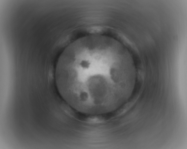 X0000113180561200909111057