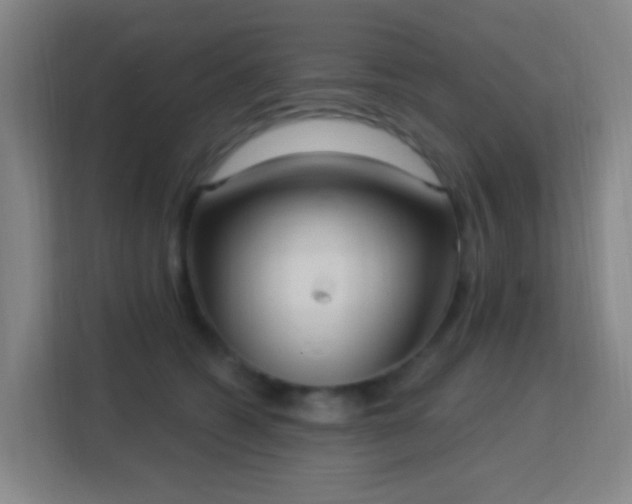 X0000113180562200909111057