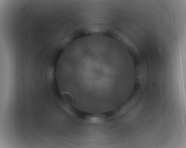 X0000113180563200909111057