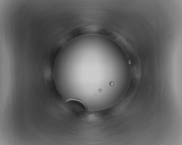 X0000113180564200909111057