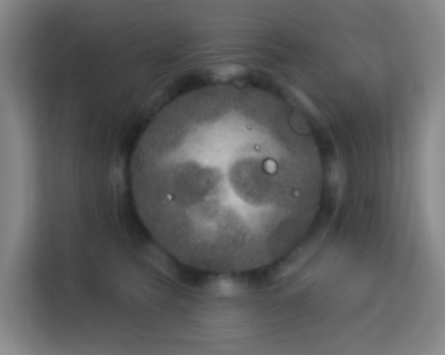 X0000113180565200909111057