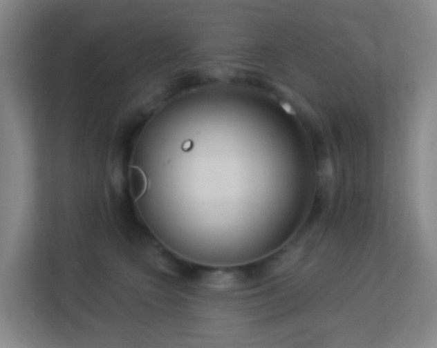 X0000113180566200909111057