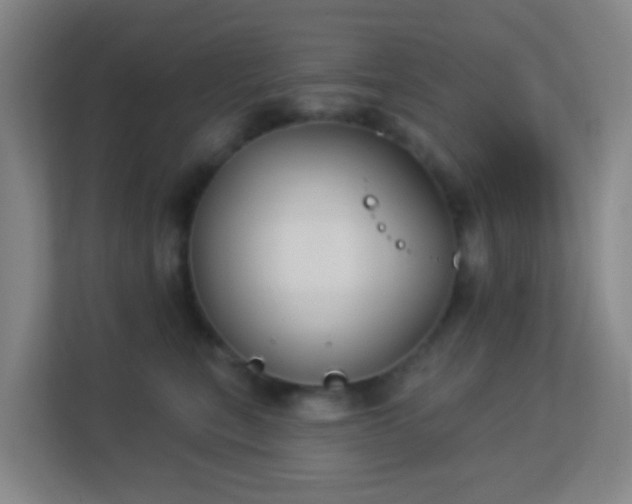 X0000113180567200909111057