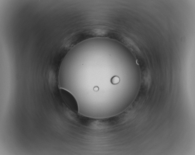 X0000113180568200909111057