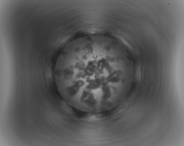 X0000113180569200909111057
