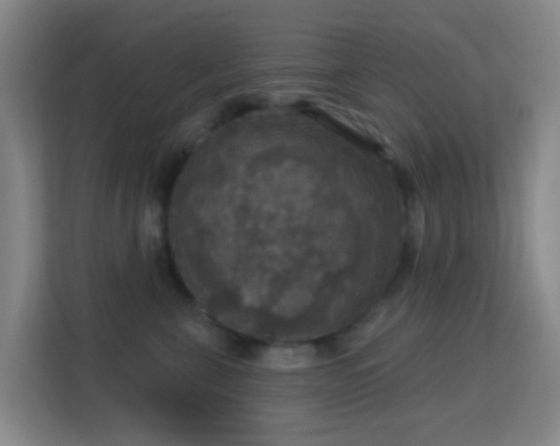 X0000113180571200909111057