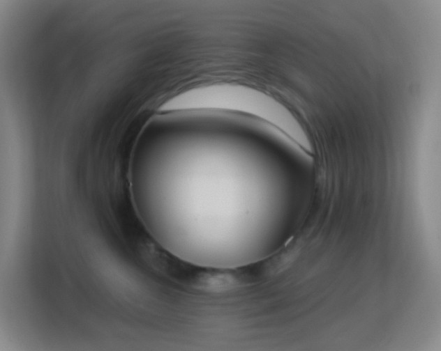 X0000113180572200909111057