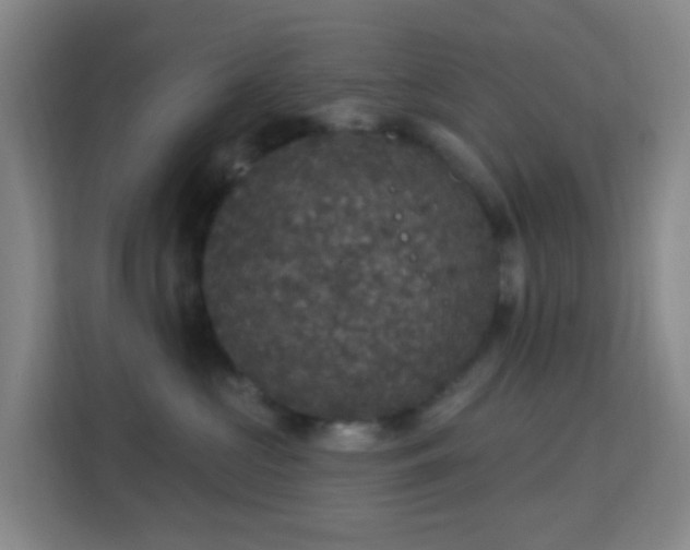 X0000113180573200909111057