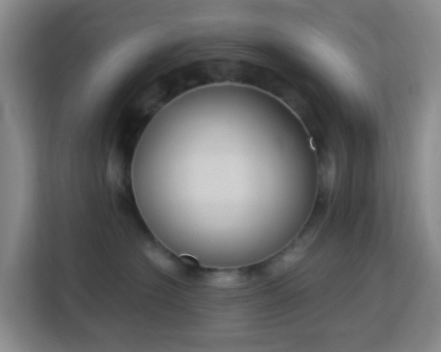 X0000113180574200909111057