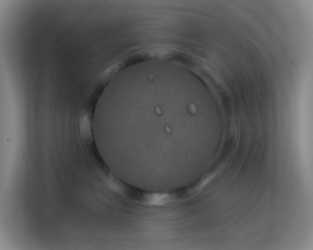 X0000113180575200909111057