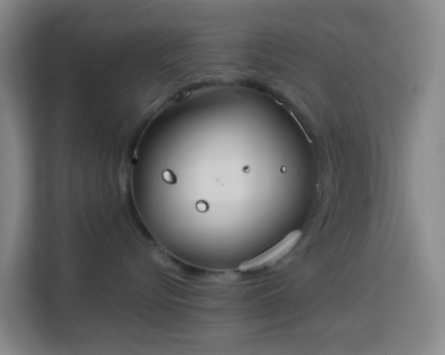 X0000113180576200909111057