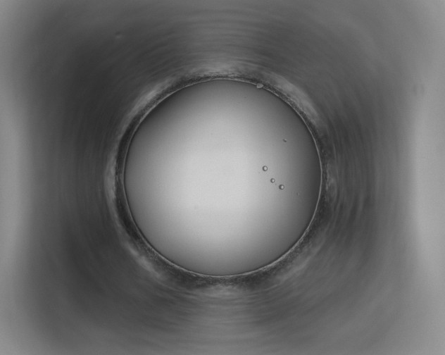 X0000113180578200909111056
