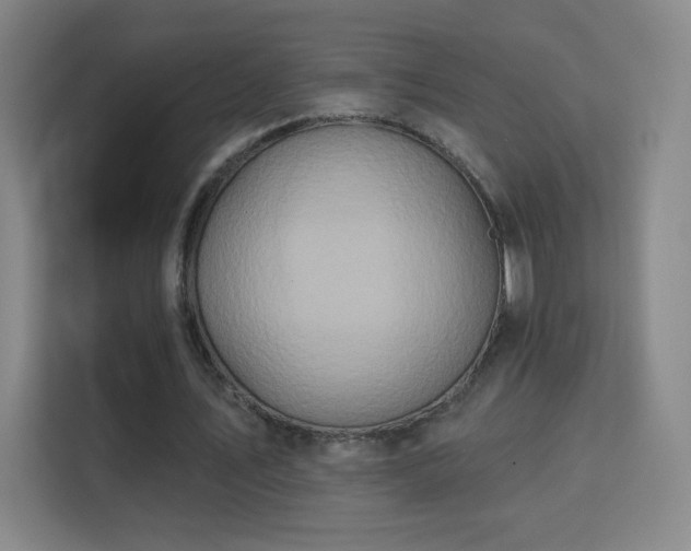 X0000113180579200909111056