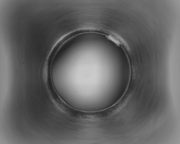 X0000113180580200909111056